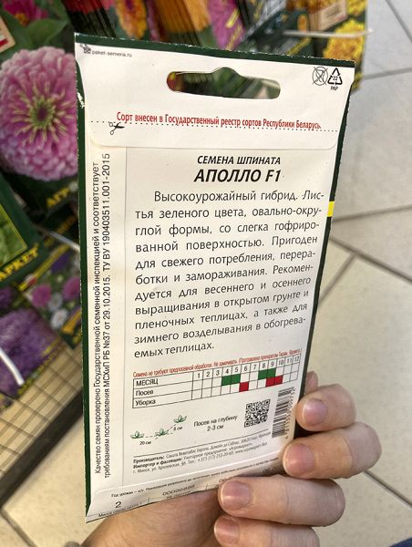 шпинат Аполло F1 (уп.2гр.) Франция